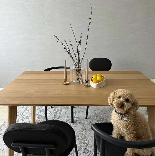 Дубовый стол lagomhome в доме покупателя, рядом сидит пёс